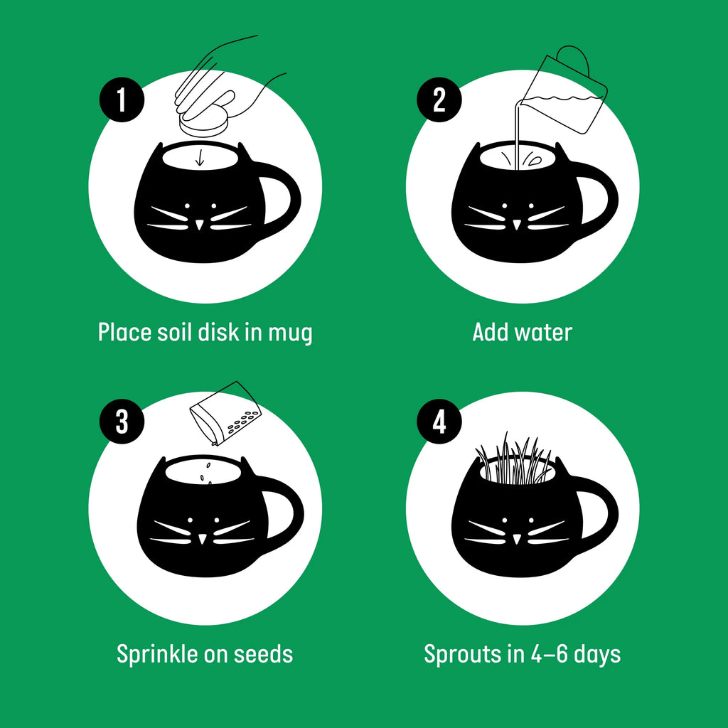 Organic Cat Grass Kit with Black Cat Ceramic Planter, Easy Indoor Planting Gift Set