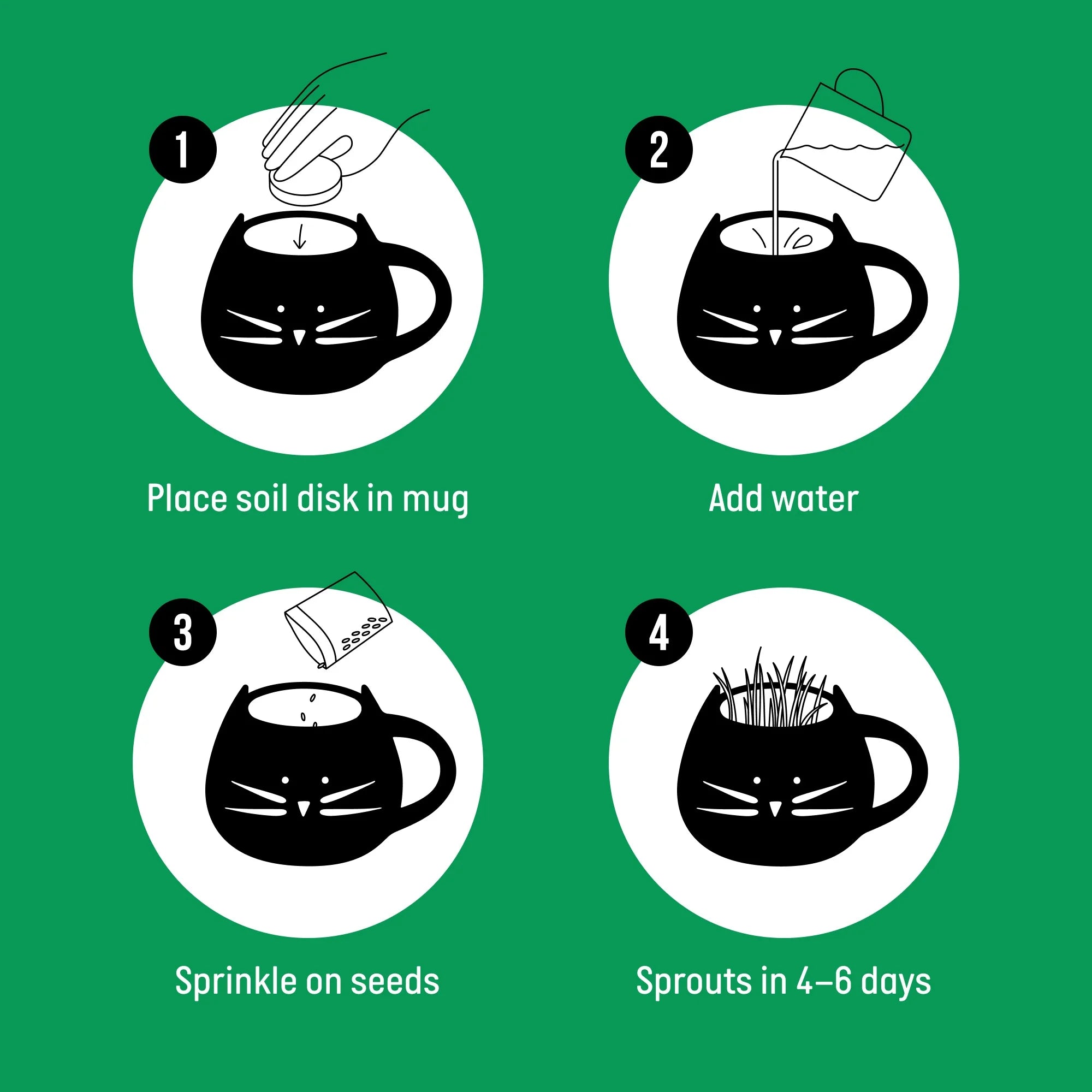 Organic Cat Grass Kit with Black Cat Ceramic Planter, Easy Indoor Planting Gift Set